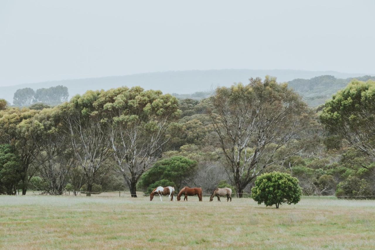 Barnville@Bremer Bed&Breakfast Bremer Bay Extérieur photo